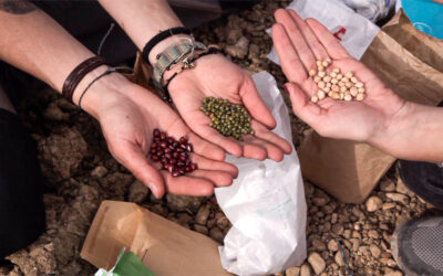 Huerta de Mujeres Regenerando-SE